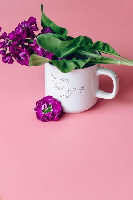 A white ceramic mug with a handwritten message that reads 'Hey, you, don't give up okay?' contains a vibrant floral arrangement of purple lilacs with delicate clustered blossoms and broad, green leave