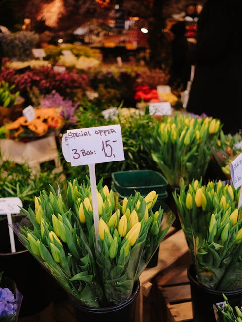 Close-up of lush yellow tulips with green leaves arranged in clear plastic wrapping, displayed at a flower market stall. The tulips are fresh, with smooth petals and sturdy stems, arranged in multiple