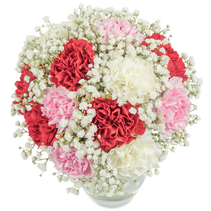 Nestled within a transparent, gently rounded vase, this flowering creation captures both the vibrancy and serenity of Wapping's close-knit community. The bouquet features an abundance of carnation blossoms-deep velvety reds, pale blush pinks, and soft creamy whites-each ruffled petal adding depth and life to the ensemble. Dotted among them are clouds of white gypsophila, whose delicate, star-like florets surround and cushion the more robust carnations, lending the entire arrangement a sense of lightness and airy movement. The dense, perfectly balanced composition forms a striking, almost globe-like silhouette, radiating generosity and warmth. Photographed under clear, bright light and set against a pure white background, every element from the intricate carnation petals to the crisp gypsophila is showcased in vivid detail. The clear vase subtly frames the submerged green stems and fresh water, underscoring the arrangement's vitality. Imagined on a Wapping breakfast table bathed in early light, or handed to a loved one along Wapping High Street, this bouquet encapsulates moments of joy, gratitude, and celebration. Crafted with the same attention to detail that characterizes trusted local florists, it is a fitting emblem for special occasions-anniversaries, birthdays, Mother's Day, or heartfelt gestures of thanks-serving as a beautiful, lasting reminder of both love and local tradition.