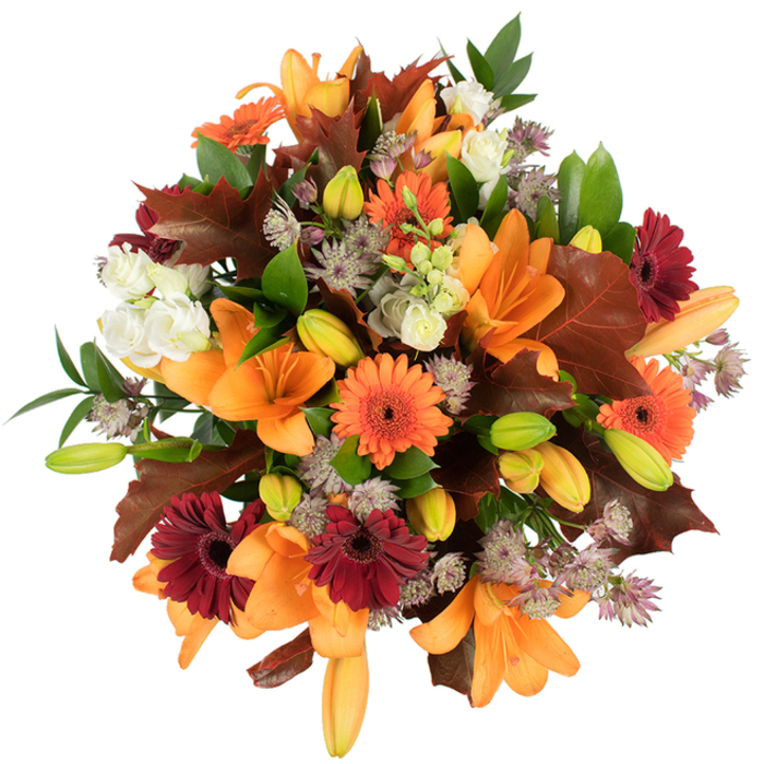 From a slightly elevated viewpoint against a clean white field, this richly textured fall bouquet reads like a small, domestic harvest assembled on a Wapping kitchen table. Several full-bloom orange Asiatic lilies dominate the composition, their large, trumpet-shaped petals unfurling with confident symmetry, while many compact lily buds - a palette of bright green and soft orange - nestle close by and suggest gentle future movement. Scattered among them, vibrant orange and deep burgundy Gerbera daisies offer bold, circular forms; their radiating petals and darker centres provide joyful punctuation to the arrangement. Soft, ivory lisianthus blooms with layered, ruffled petals bring moments of delicate relief against the stronger hues, and spiky, star-like clusters of muted purple Astrantia add an airy, botanical intricacy that contrasts with the broad leaves. Substantial lobed leaves in warm reddish-brown and maroon are placed to evoke fallen oak, their textured surfaces and defined edges reinforcing the autumnal narrative, while glossy green foliage and thin stems lend freshness and structural rhythm. The piece is closely packed and visibly fresh, lit so that every colour - orange, burgundy, brown, green and pale lavender - reads with clarity and warmth. As a local florist familiar with the neighbourhood markets around St Katharine Docks and Tobacco Dock, I imagine this arrangement translating perfectly to a Thanksgiving centrepiece, a birthday in the colder months, or a seasonal gift that brings home the comforting, abundant tones of harvest time.