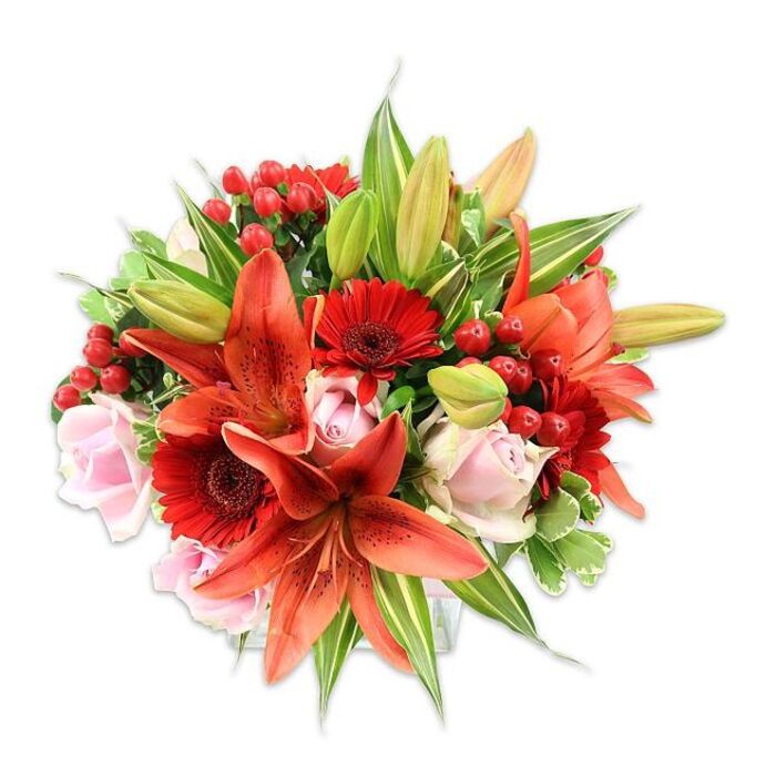 Set against a spotless white background, this dense, rounded bouquet reads like a warm embrace of autumnal heat and gentle romance, an arrangement a florist on Wapping High Street might design for a nearby riverside birthday or anniversary. The composition is anchored by several large Asiatic lilies in a vivid orange-red, many with subtle speckling across their recurved petals and prominent dark-tipped stamens that add sculptural detail. These striking lilies are complemented by vivid crimson Gerbera daisies, identifiable by their many slender petals and nearly black central disks, providing lively, graphic contrast. Interspersed are pale blush-pink roses, their classic layered cups ranging from compact buds to open blossoms, which soften the palette and add a tactile velvetiness. Bright clusters of red hypericum berries nestle among the blooms, offering small, shiny orbs that catch the light and contribute a festive texture. The greenery is abundant and varied-broad solid leaves create a deep, verdant backdrop while slender lily leaves and a few variegated sprays introduce light and movement-resulting in a full silhouette that speaks of careful, deliberate placement. Under clean, direct lighting the different surfaces-papery lilies, smooth roses, glossy berries-are clearly defined, and there is an imagined scent: the lilies' slightly spicy sweetness layered over the rose's soft perfume. Ideal for conveying joy and warmth to someone near St Katharine Docks, Wapping Wall, or a home by Rope Street, this bouquet combines classic forms with contemporary punch in both colour and craft.