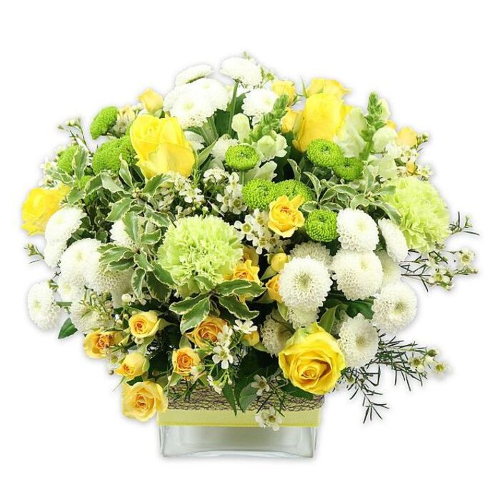 A generously full, rounded floral arrangement in yellow, white, and green appears almost to spill from a clear, square glass vase, set against a pure white background that makes every stem and petal from this Wapping-inspired design stand out in vivid detail. Clusters of radiant yellow roses anchor the bouquet, some blossoms wide open to reveal their spiralling centres, others still in elegant bud form, suggesting growth and new beginnings. Among them, smaller clusters of yellow spray roses weave through the design, adding both texture and a sense of natural movement. Tucked gently between the roses are white pompom chrysanthemums, their tightly packed, spherical heads forming soft mounds of petals that contrast beautifully with the more open rose shapes. Lime green button chrysanthemums, perfectly round and slightly raised, dot the arrangement like bright, playful buttons, while larger pale green blooms, similar to frilled carnations or speciality green mums, add volume and a feathery, ruffled texture. Surrounding the flowers, lush foliage creates a deep green backdrop: some leaves are broad with distinct white edges, others are slender and shaded in deeper tones, extending outwards in graceful sprigs. Fine, star-like white filler flowers are scattered throughout, lending lightness and a delicate, airy feel. The stems are visible through the crystal-clear vase, which is cinched at the waist with a rustic, textured band resembling woven bark or natural fibre, overlaid with a vivid lime green ribbon that echoes the fresh green tones above. This arrangement feels like a breath of river air drifting in from the Thames, ideal for brightening a warehouse-style apartment near Tobacco Dock or adding a modern, joyful touch to a dining table in Wapping on a birthday, graduation, or simple everyday celebration.