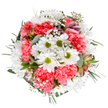 This arrangement is a lively ode to Wapping's riverside charm, crafted with a florist's attention to seasonal beauty and local spirit. White daisies form sunny icons at the centre, their bright petals and fresh green eyes shining amidst ruffled coral-pink carnations that provide both exuberance and textural richness. Baby's breath, so delicate it feels almost weightless, floats through the bouquet, infusing each corner with softness-like mist above the Thames on a spring morning. Hints of unopened alstroemeria in blush and deep magenta nestle between clusters, offering future promise and visual intrigue. Eucalyptus and mixed greenery ground the whole with a calming palette, akin to the foliage of Wapping Gardens or the leafy walks along Hermitage Riverside. The bouquet's structure is round, full, and expertly balanced, every detail composed to inspire joy and comfort, whether as a thoughtful birthday surprise, a bright pick-me-up for someone in E1, or a centrepiece for a candlelit supper at home. The crisp white background amplifies each hue, making this arrangement a perfect showcase for local flower delivery or editorial features celebrating London's vibrant flower culture.